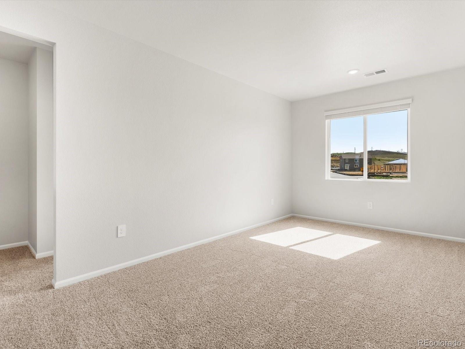 MLS Image #15 for 1617  yampa river drive,windsor, Colorado