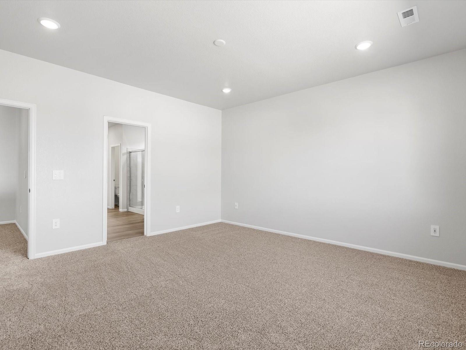 MLS Image #17 for 1617  yampa river drive,windsor, Colorado