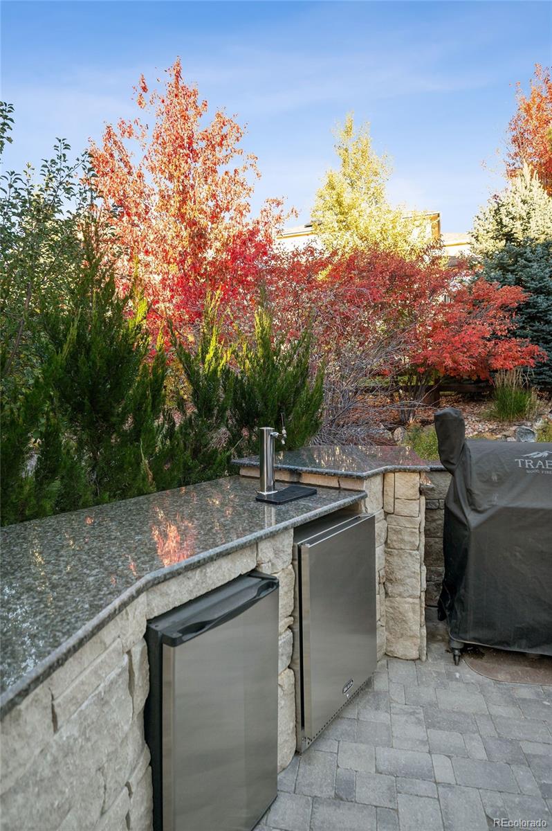 MLS Image #43 for 12248  desert hills street,parker, Colorado