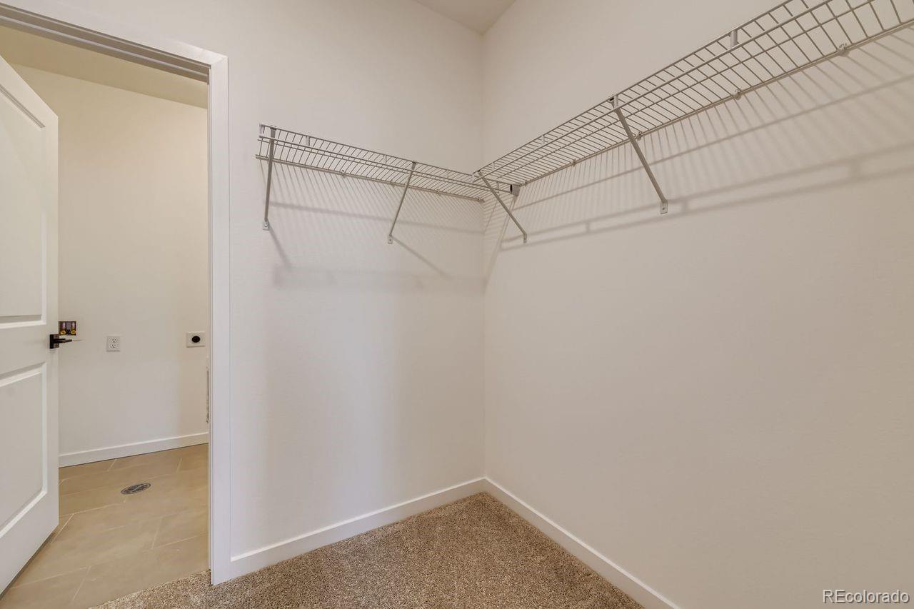 MLS Image #18 for 9645  browns peak circle,littleton, Colorado