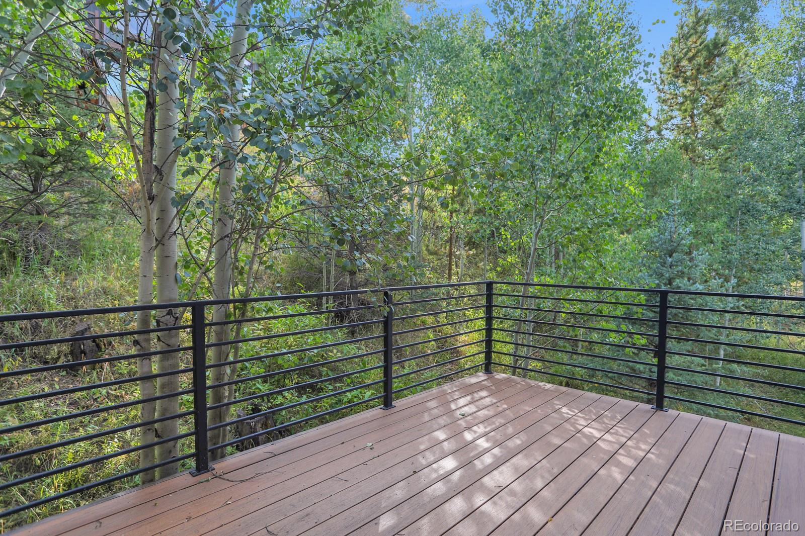 MLS Image #18 for 0150  game trail road,silverthorne, Colorado