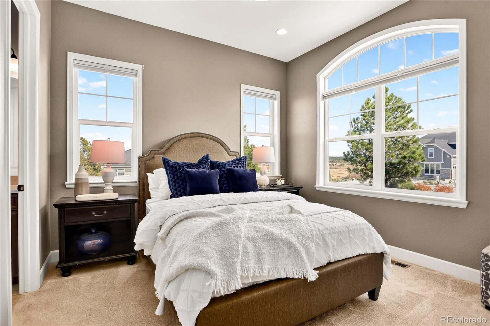 MLS Image #22 for 8980  red primrose street,franktown, Colorado