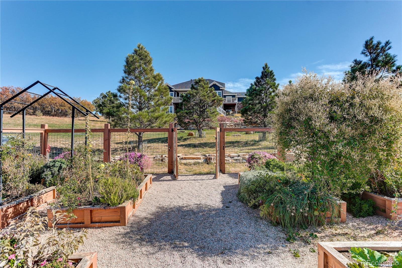 MLS Image #43 for 8980  red primrose street,franktown, Colorado