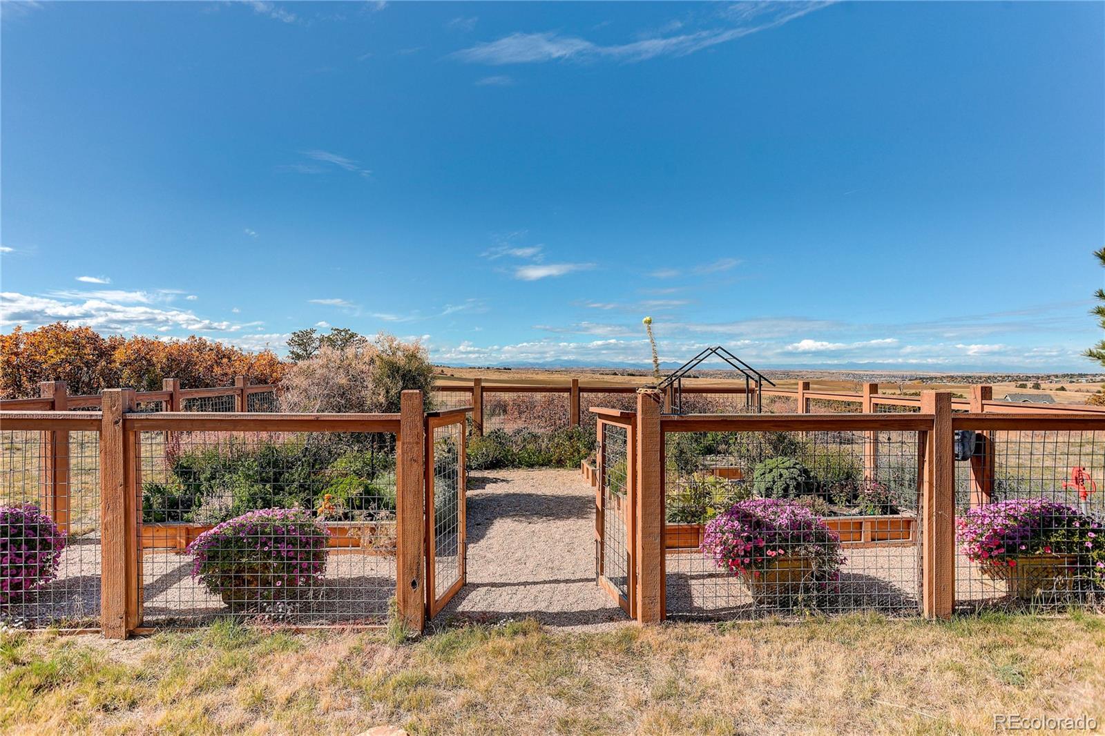 MLS Image #44 for 8980  red primrose street,franktown, Colorado