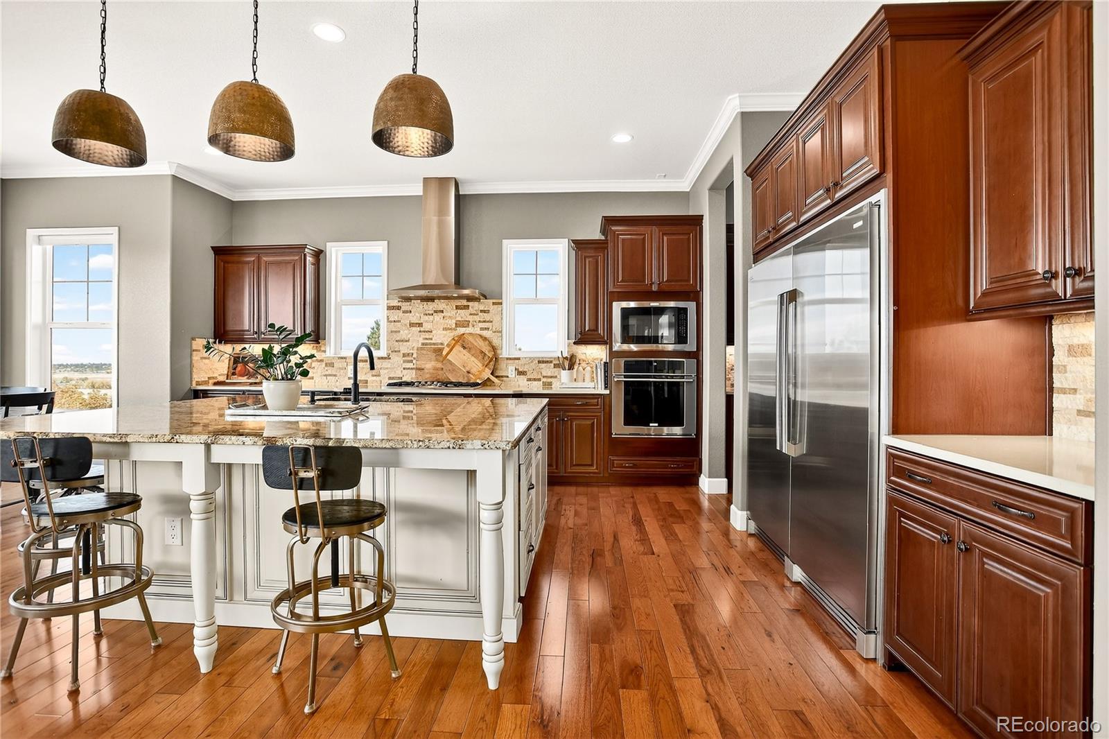 MLS Image #6 for 8980  red primrose street,franktown, Colorado