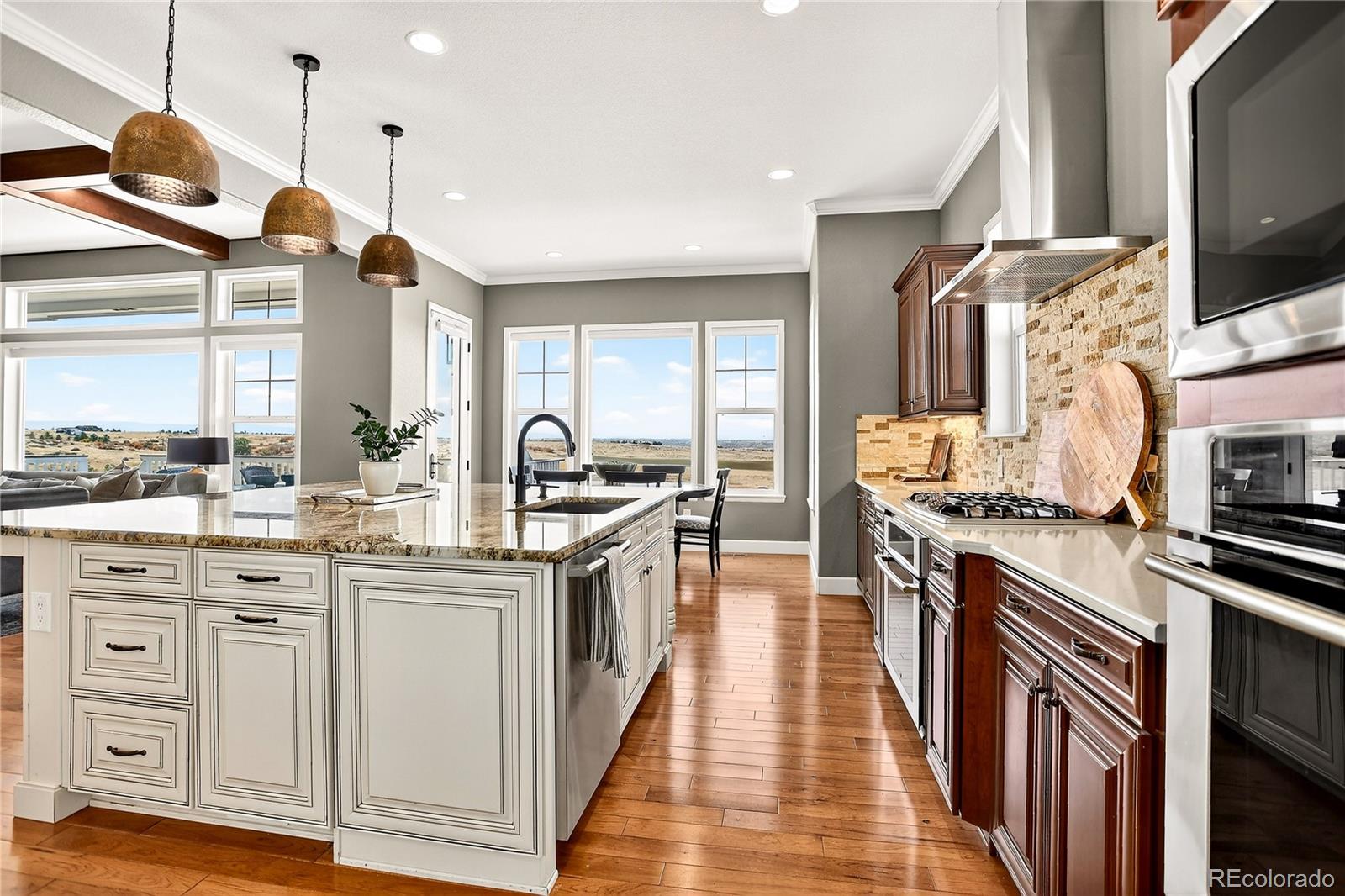 MLS Image #7 for 8980  red primrose street,franktown, Colorado
