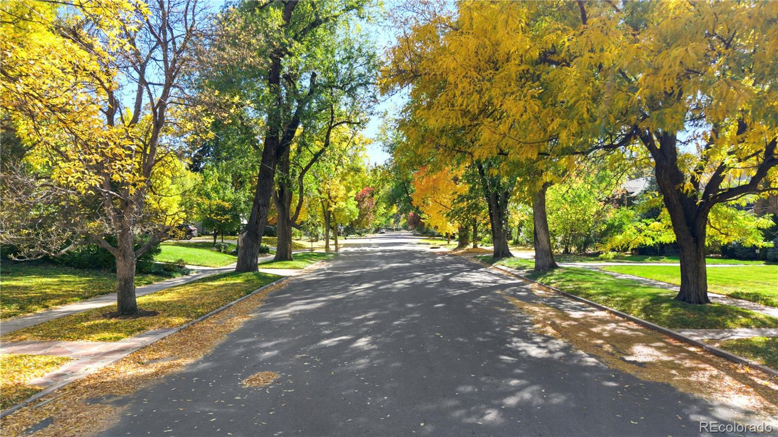 MLS Image #3 for 274  vine street,denver, Colorado