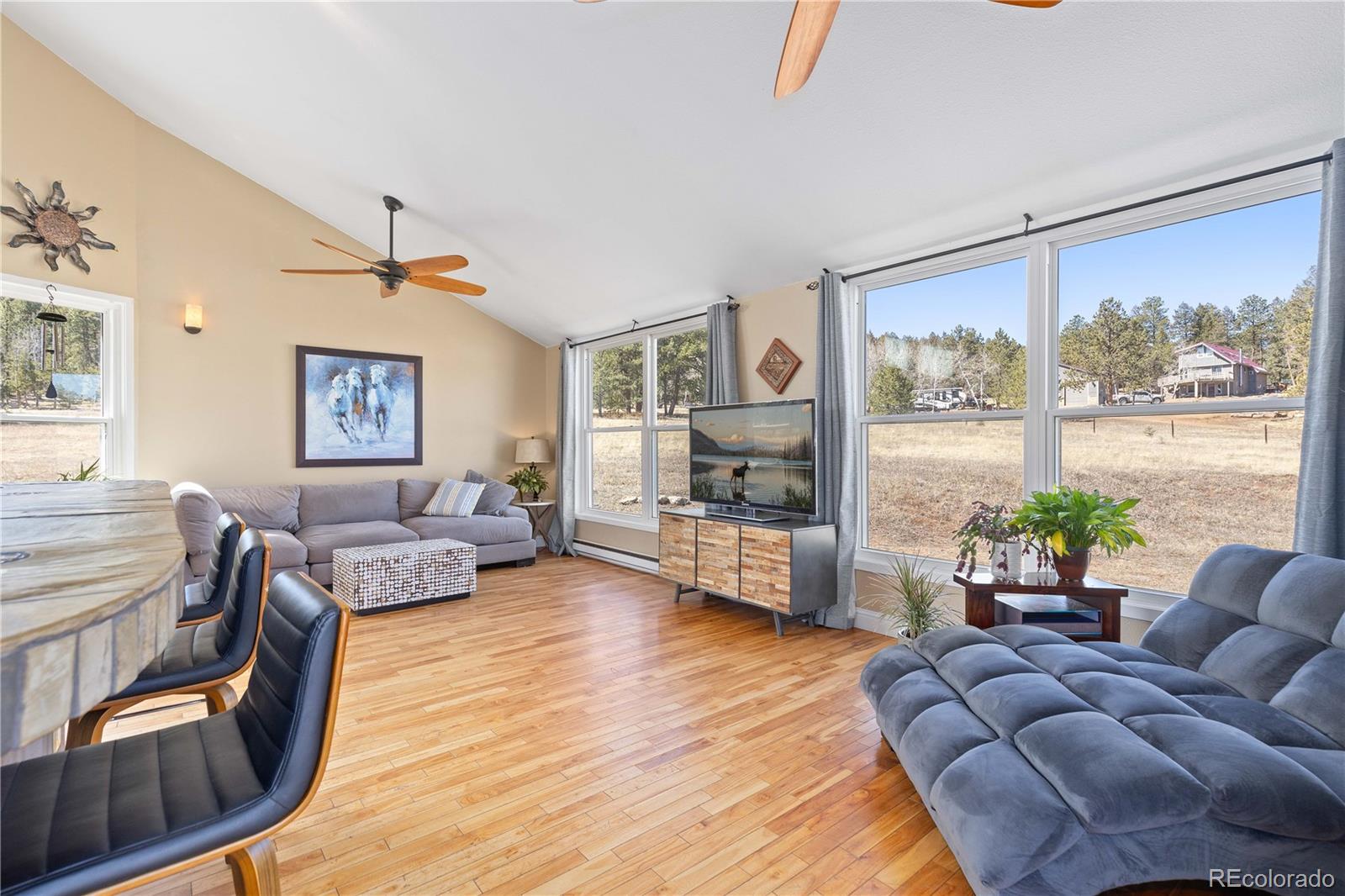 MLS Image #11 for 1819  nova road,pine, Colorado