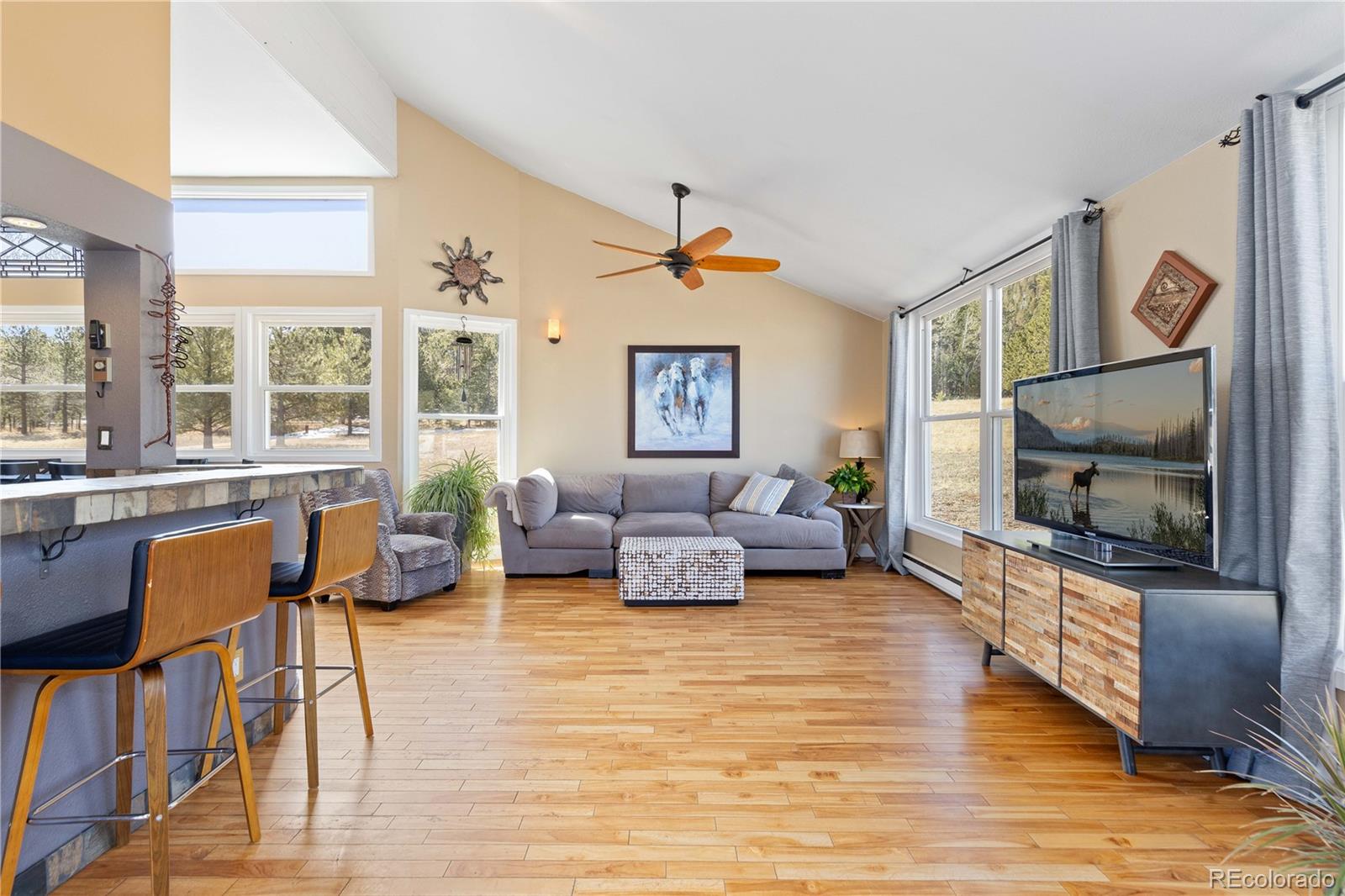MLS Image #12 for 1819  nova road,pine, Colorado
