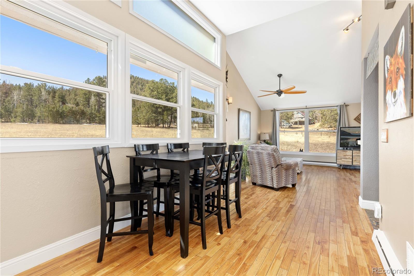 MLS Image #14 for 1819  nova road,pine, Colorado