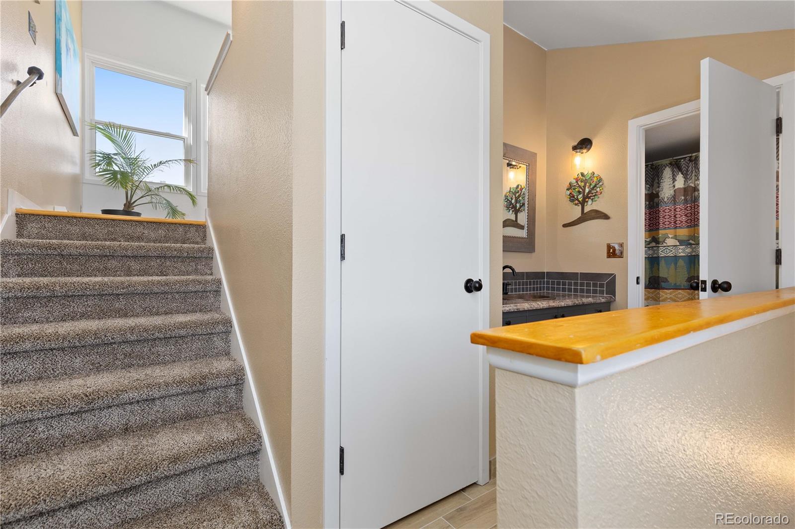 MLS Image #26 for 1819  nova road,pine, Colorado