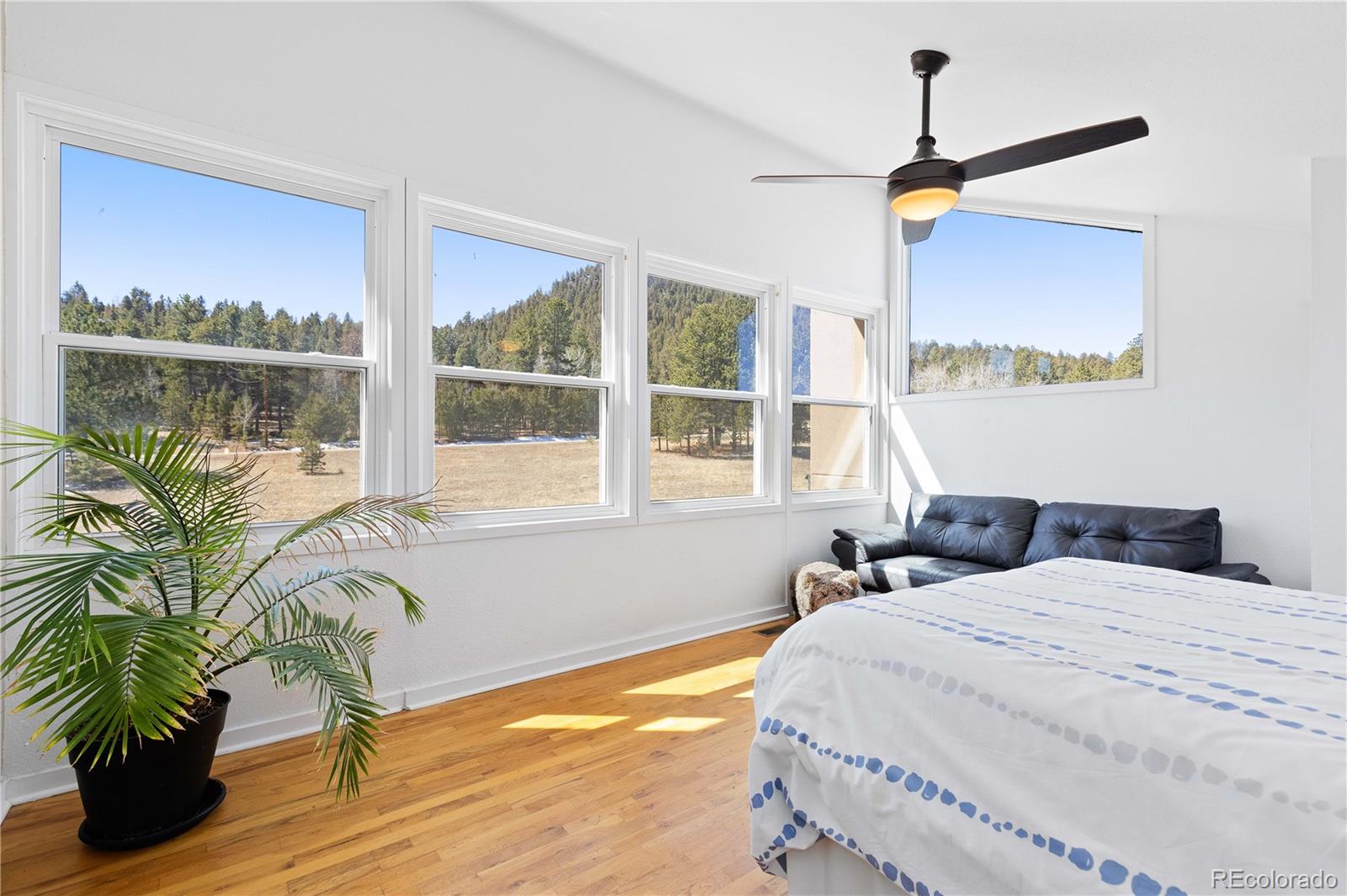 MLS Image #27 for 1819  nova road,pine, Colorado