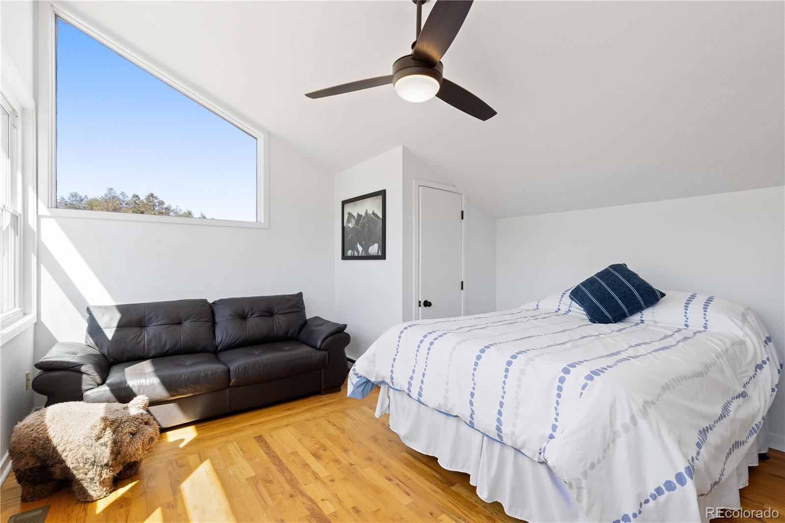MLS Image #28 for 1819  nova road,pine, Colorado