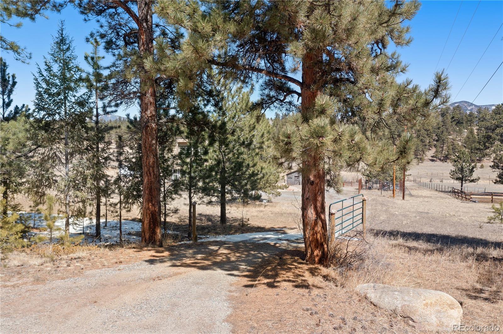 MLS Image #3 for 1819  nova road,pine, Colorado