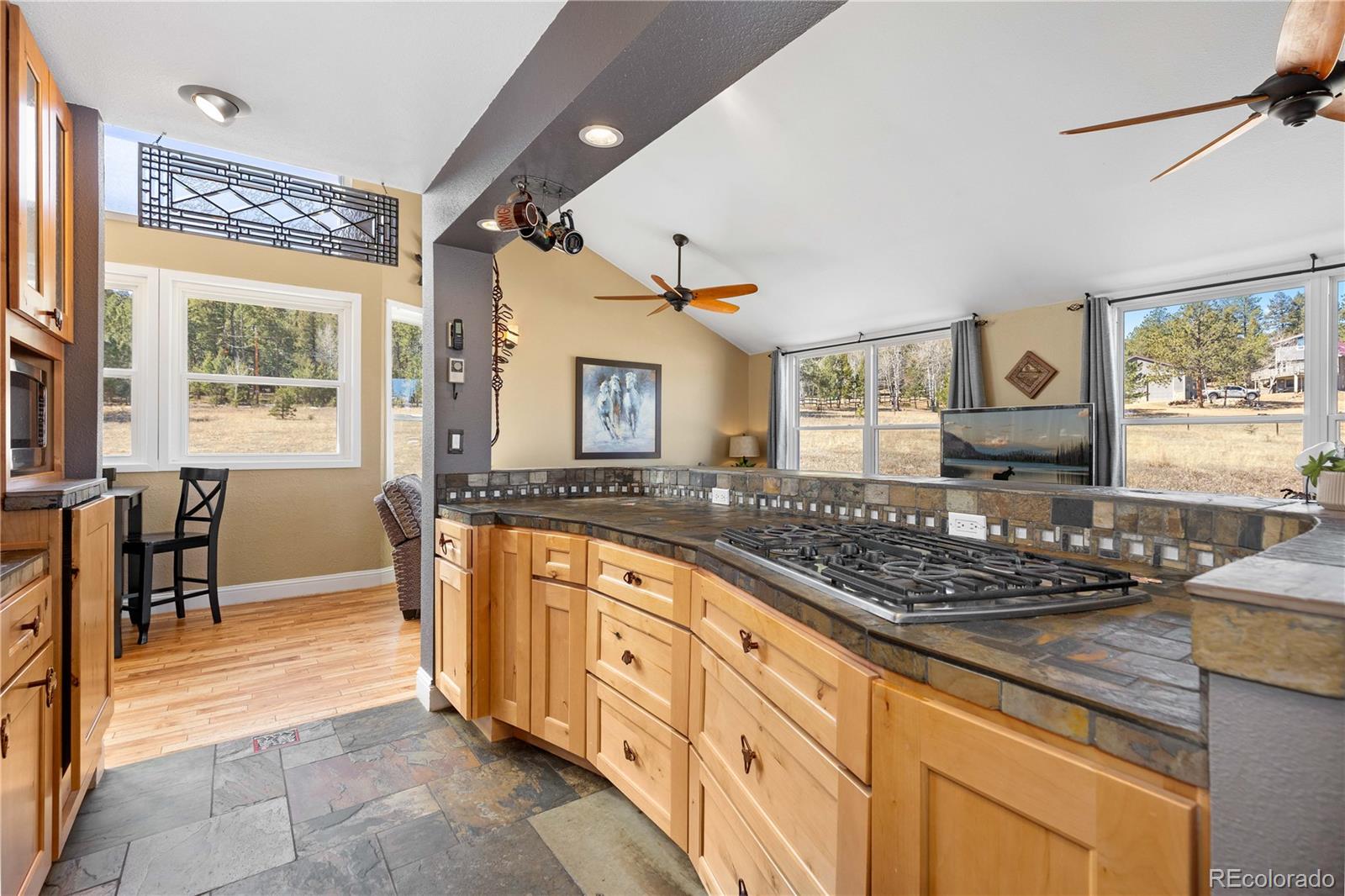 MLS Image #6 for 1819  nova road,pine, Colorado