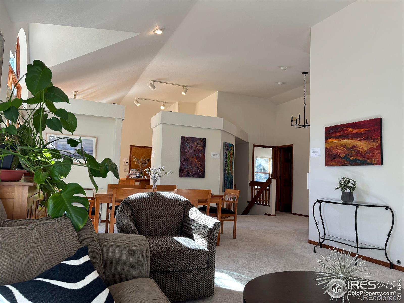 MLS Image #11 for 203  springs drive,louisville, Colorado