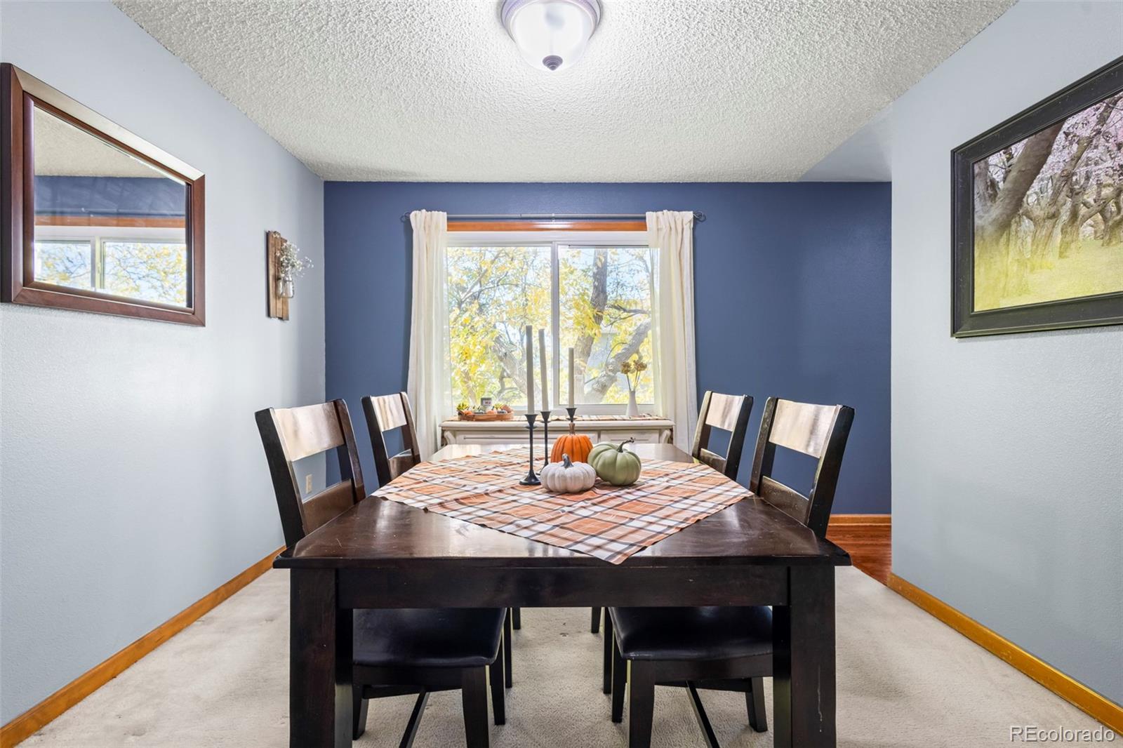 MLS Image #7 for 17538 e baker place,aurora, Colorado