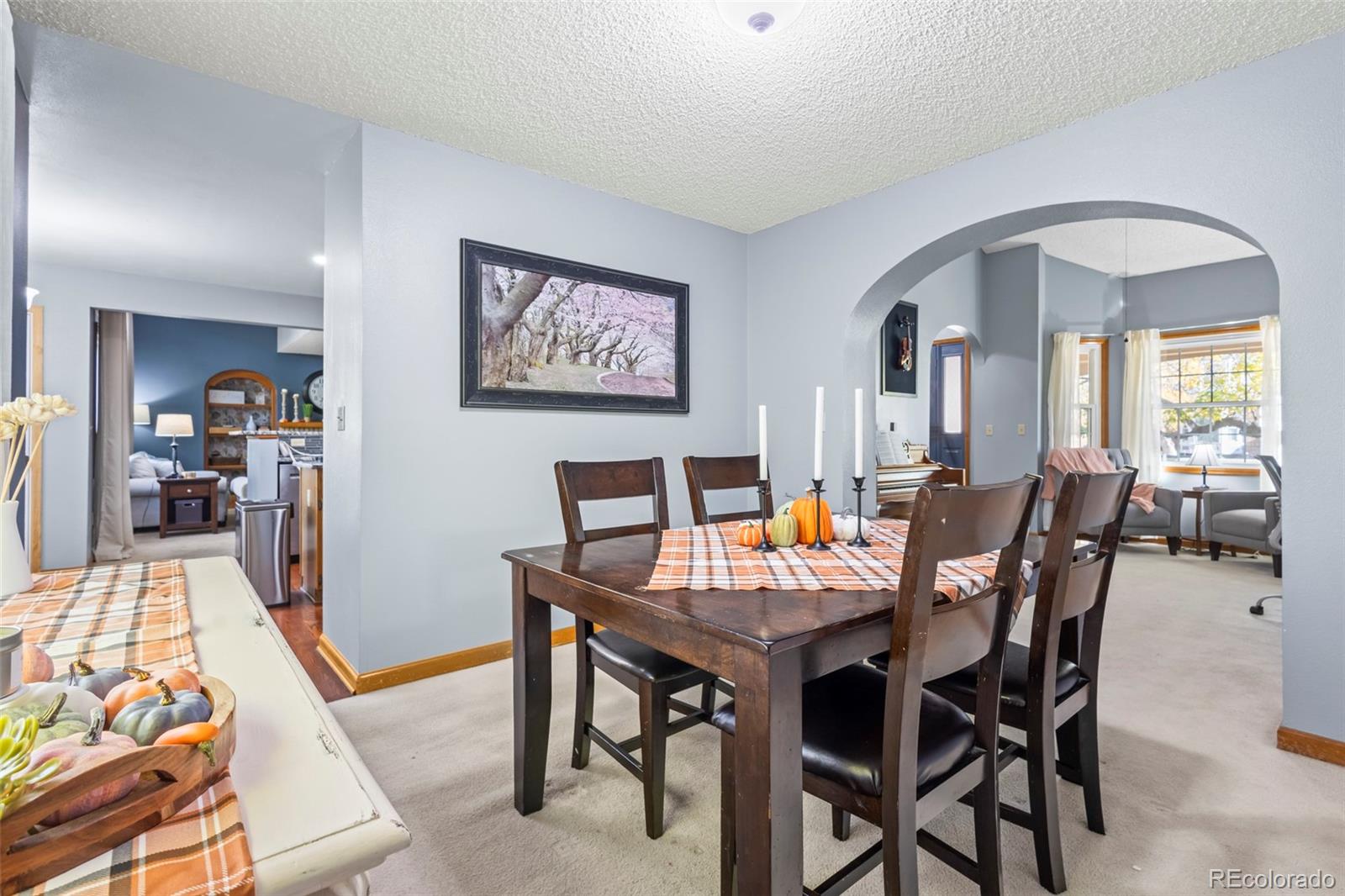 MLS Image #8 for 17538 e baker place,aurora, Colorado