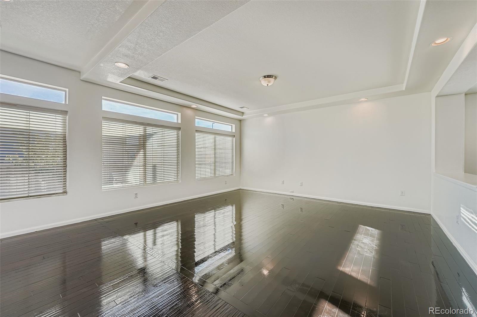 MLS Image #10 for 19102 e 55th place,denver, Colorado