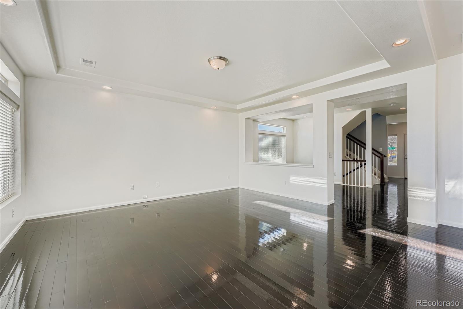 MLS Image #11 for 19102 e 55th place,denver, Colorado