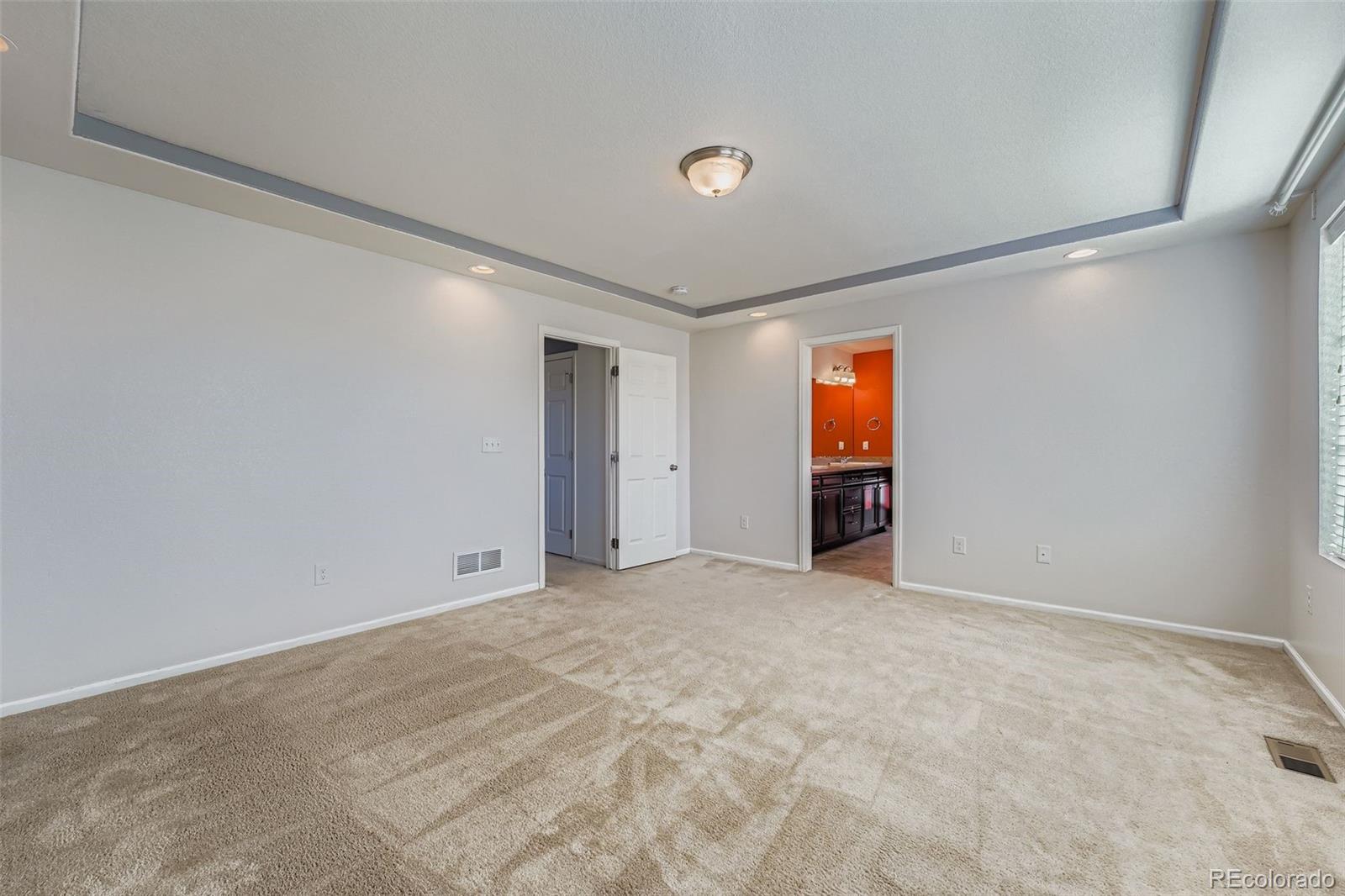 MLS Image #14 for 19102 e 55th place,denver, Colorado
