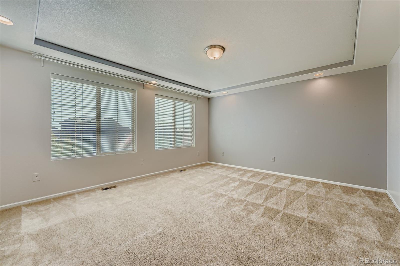 MLS Image #15 for 19102 e 55th place,denver, Colorado
