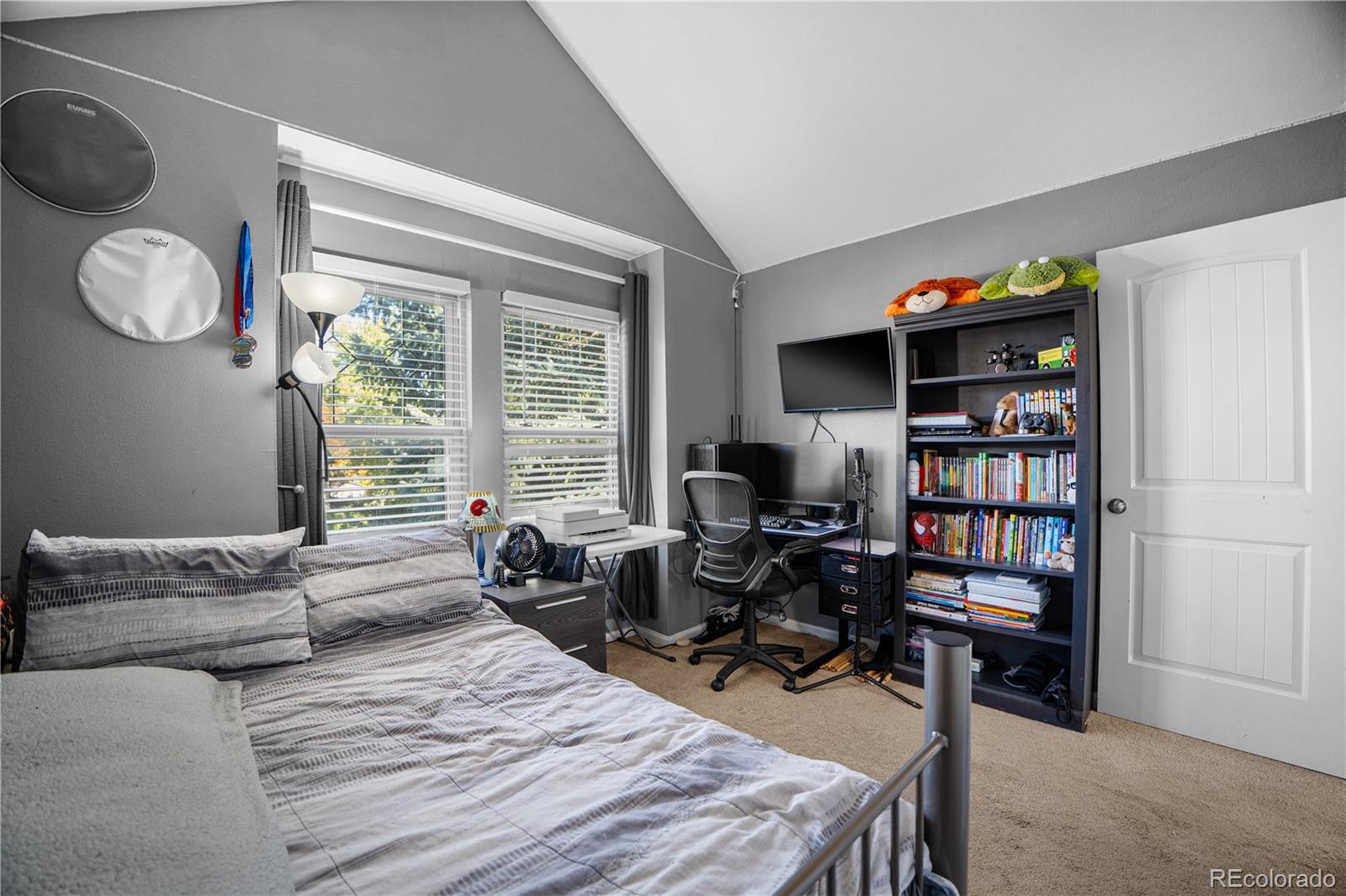 MLS Image #30 for 8567  rabbitbrush way,parker, Colorado