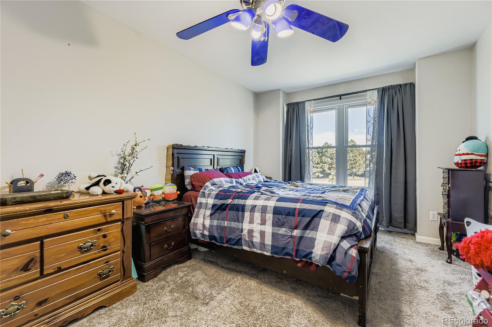 MLS Image #14 for 2035  savage road,elizabeth, Colorado