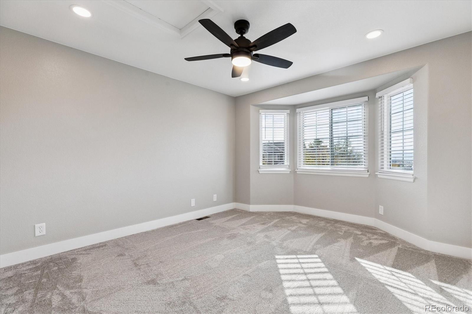MLS Image #19 for 3866  storm cloud way,castle rock, Colorado