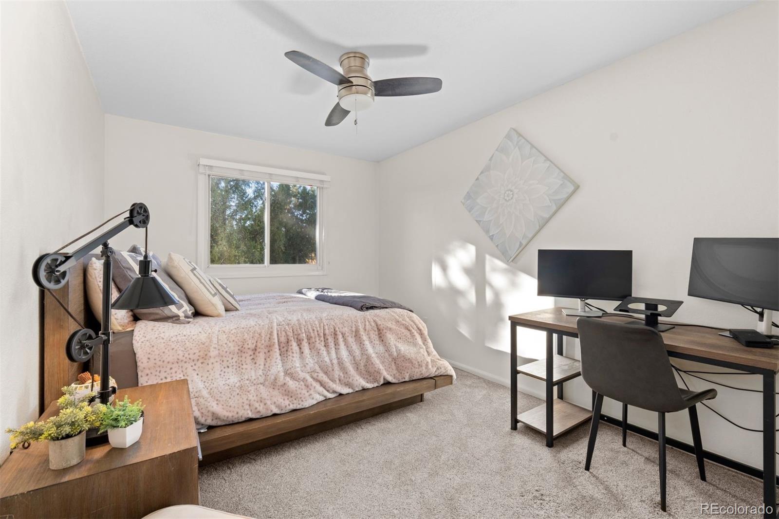 MLS Image #17 for 993  pleasant view street,castle rock, Colorado