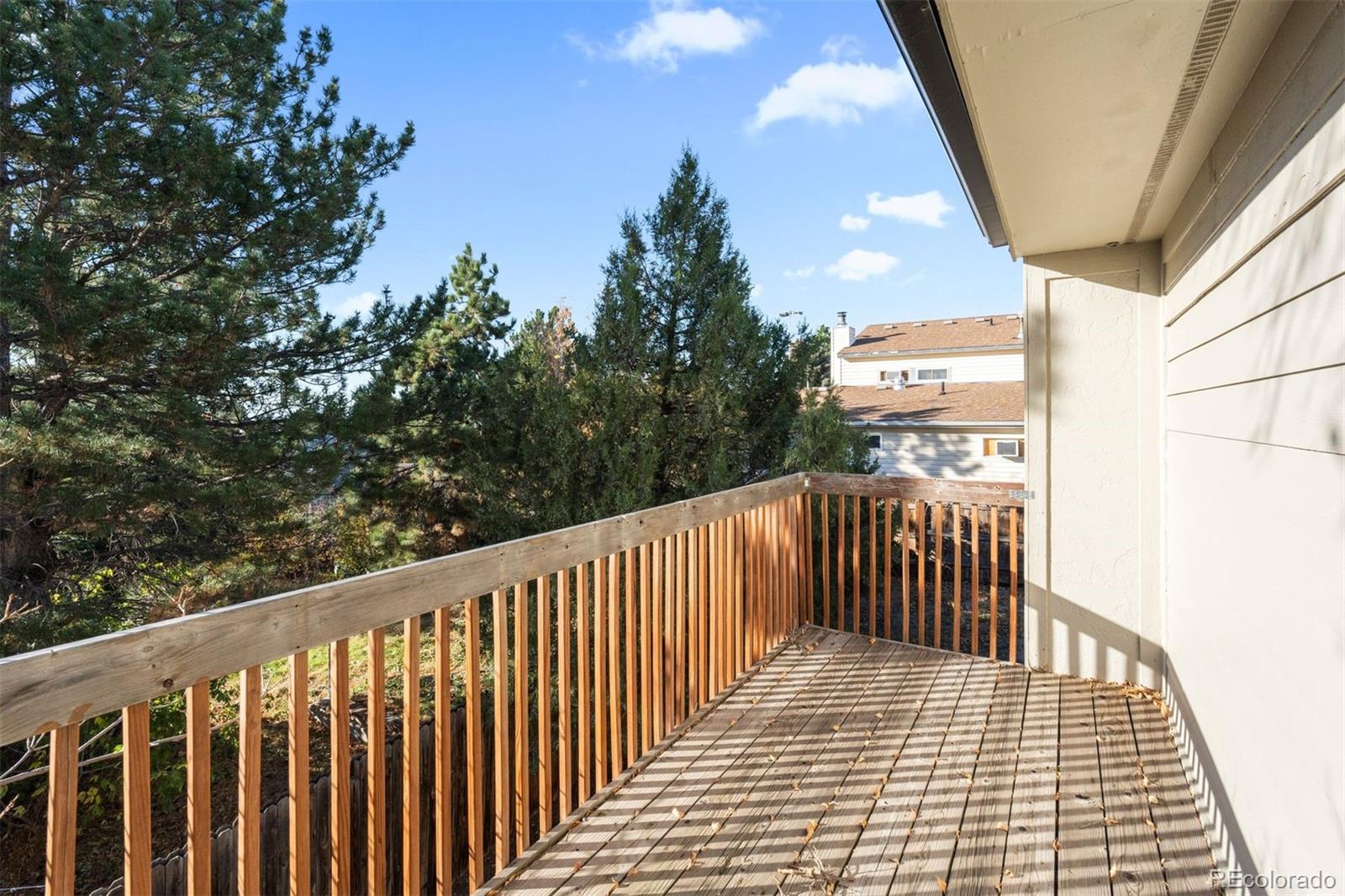 MLS Image #20 for 993  pleasant view street,castle rock, Colorado
