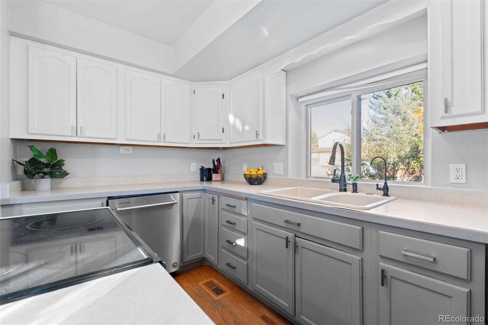MLS Image #7 for 993  pleasant view street,castle rock, Colorado