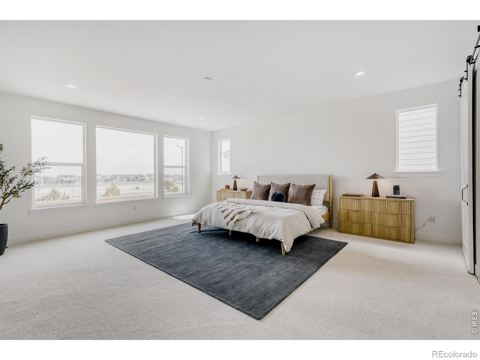 MLS Image #8 for 3142  westcliff drive,loveland, Colorado