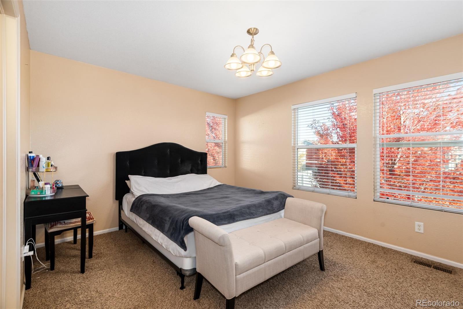 MLS Image #14 for 4565  andes street,denver, Colorado