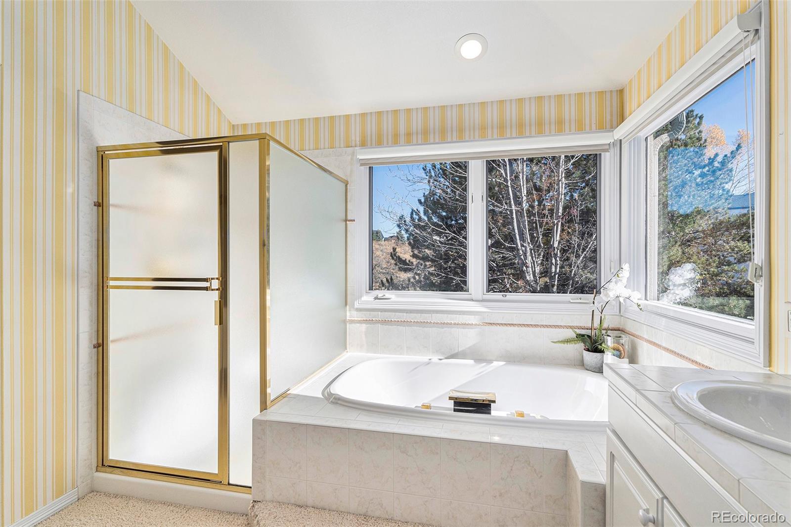 MLS Image #14 for 10722  cougar canyon,lone tree, Colorado