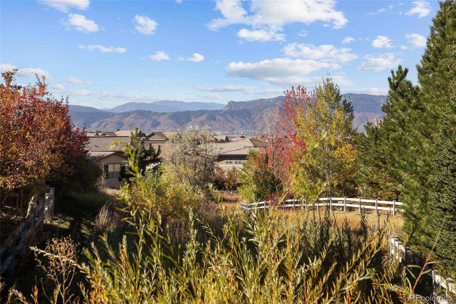 MLS Image #3 for 493  meadowleaf lane,highlands ranch, Colorado