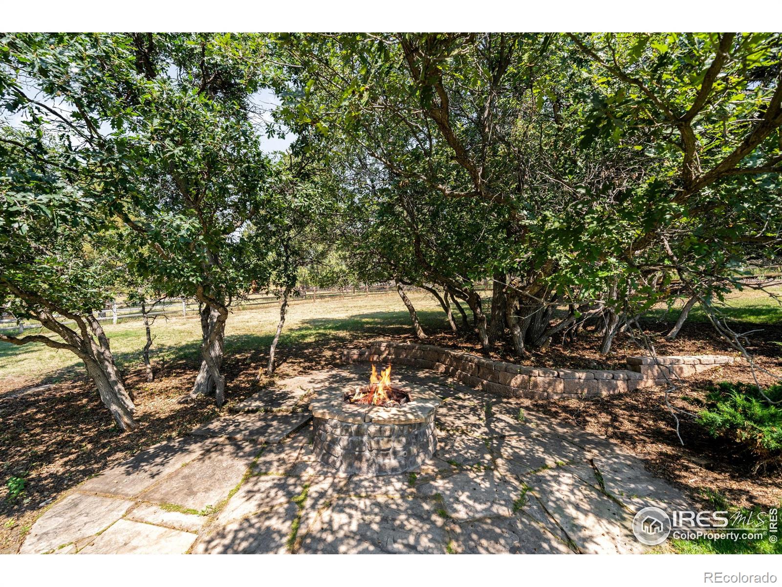 MLS Image #46 for 5086  fox sparrow road,parker, Colorado