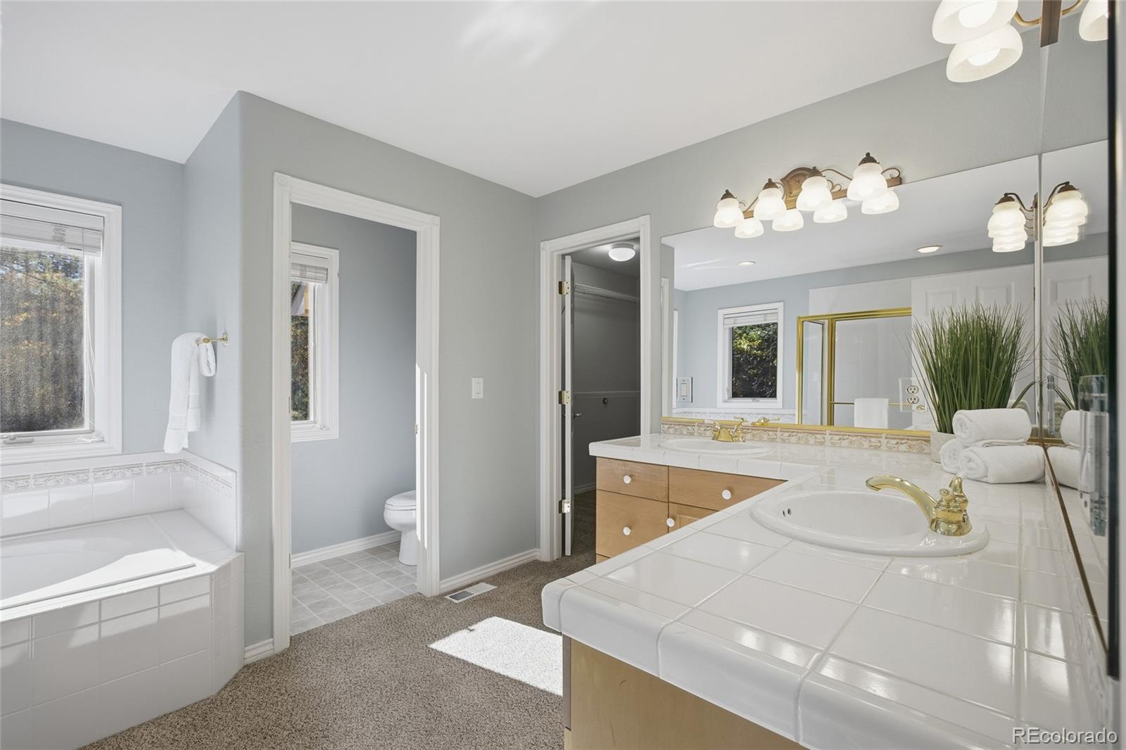 MLS Image #24 for 5  cap rock way,colorado springs, Colorado