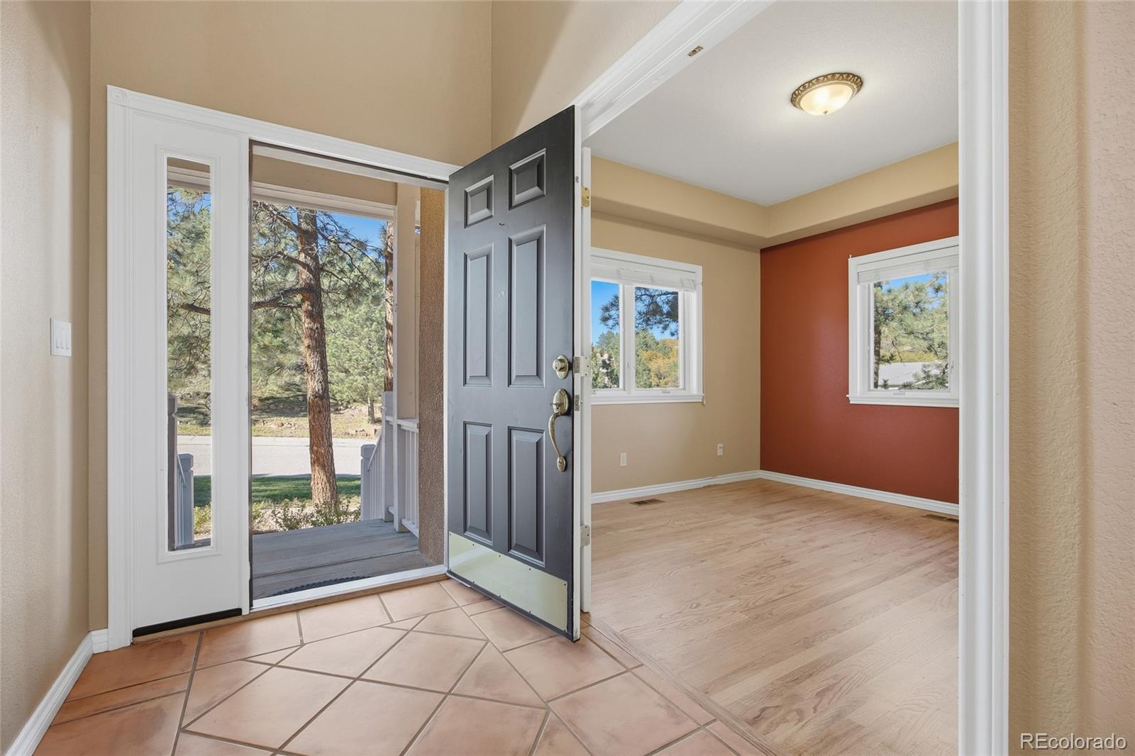 MLS Image #4 for 5  cap rock way,colorado springs, Colorado