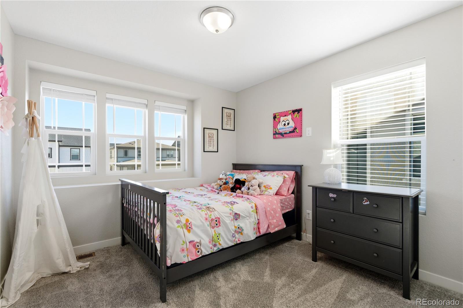 MLS Image #17 for 6351  stable view street,castle pines, Colorado