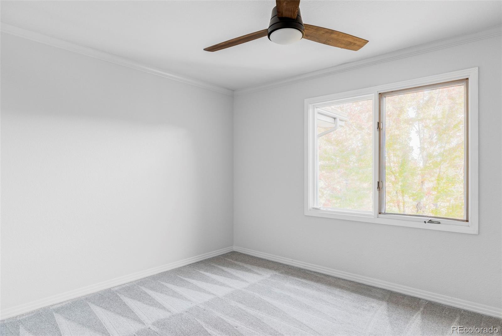 MLS Image #22 for 81 n ranch road,littleton, Colorado