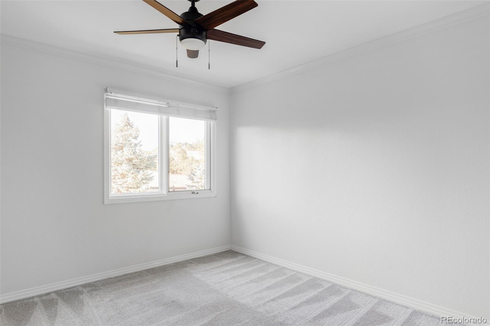 MLS Image #26 for 81 n ranch road,littleton, Colorado