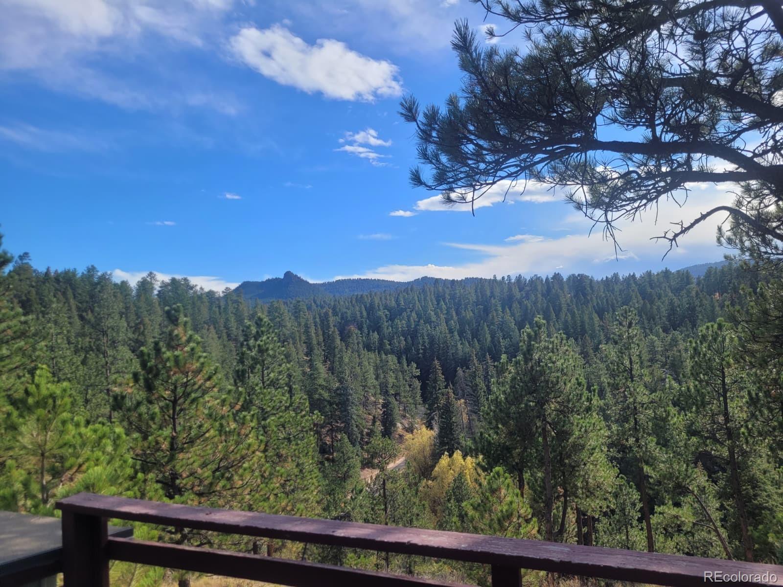 MLS Image #14 for 5162 s road a ,evergreen, Colorado