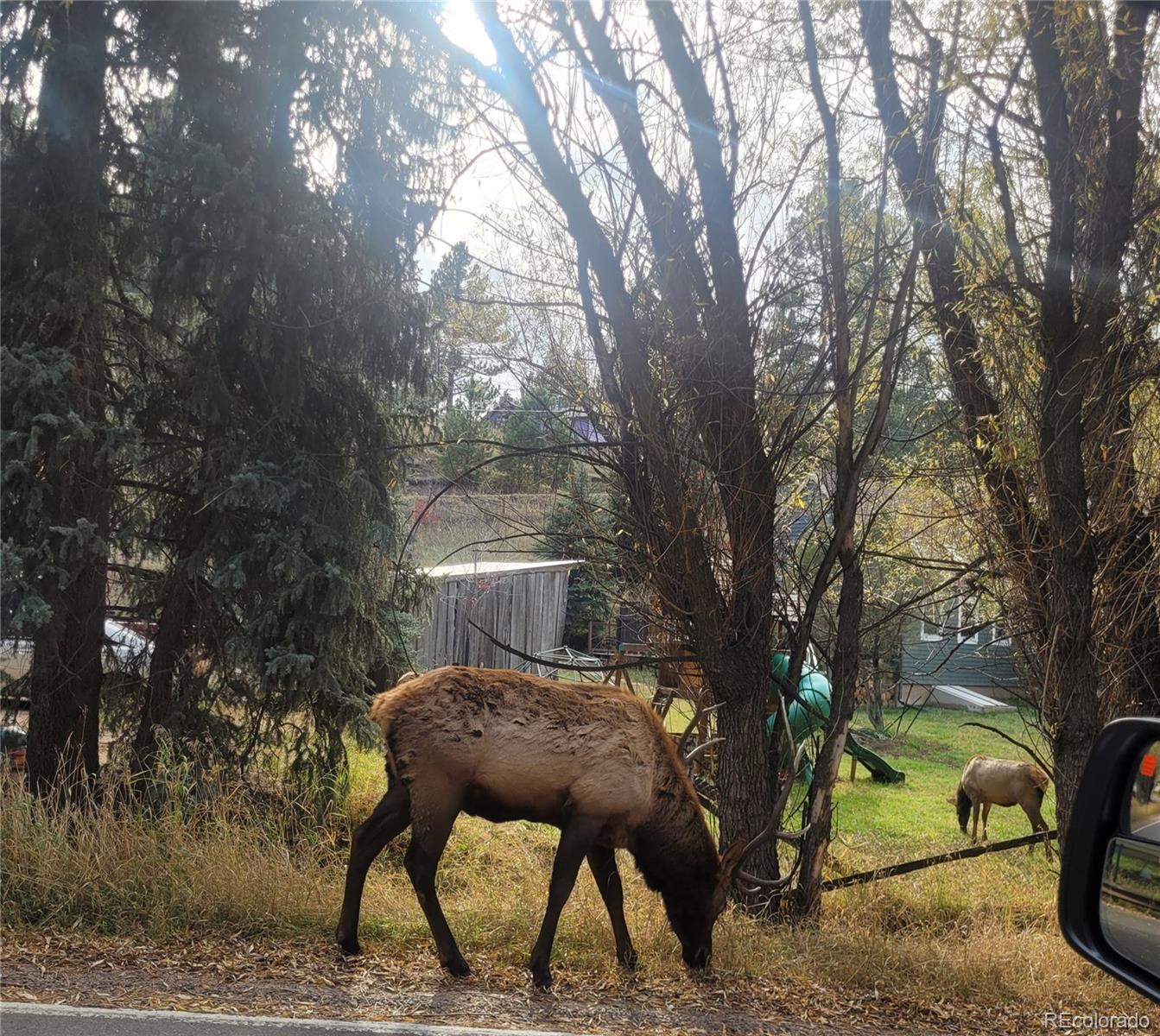MLS Image #19 for 5162 s road a ,evergreen, Colorado