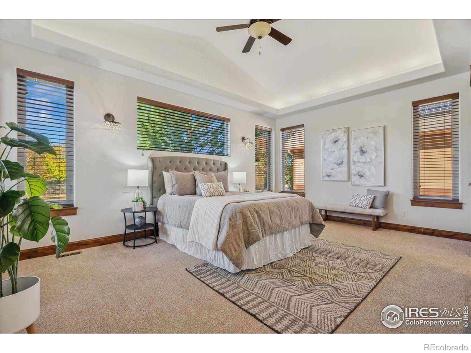 MLS Image #17 for 5957  swift court,fort collins, Colorado