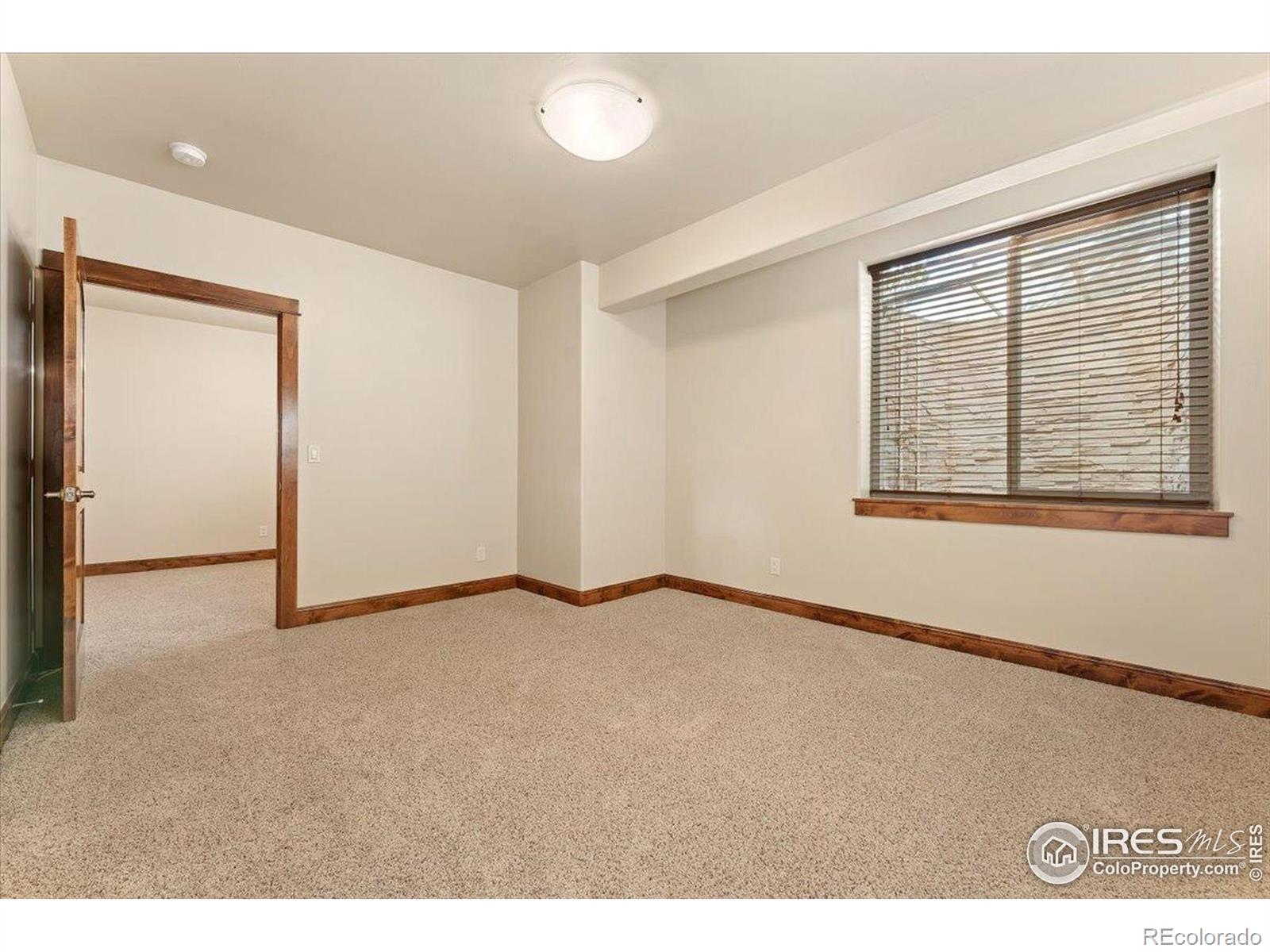 MLS Image #41 for 5957  swift court,fort collins, Colorado