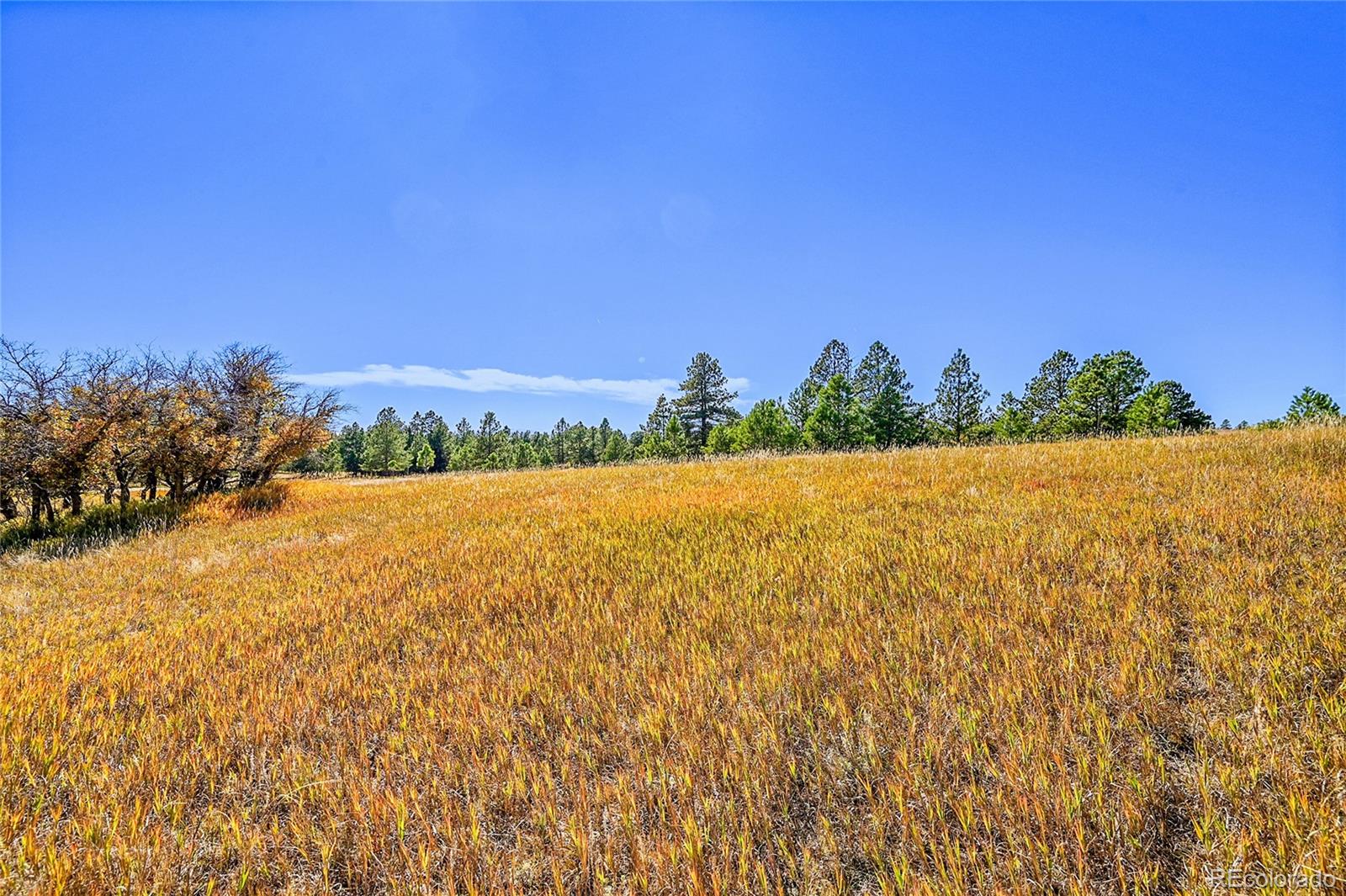MLS Image #34 for 549  panorama drive,elizabeth, Colorado