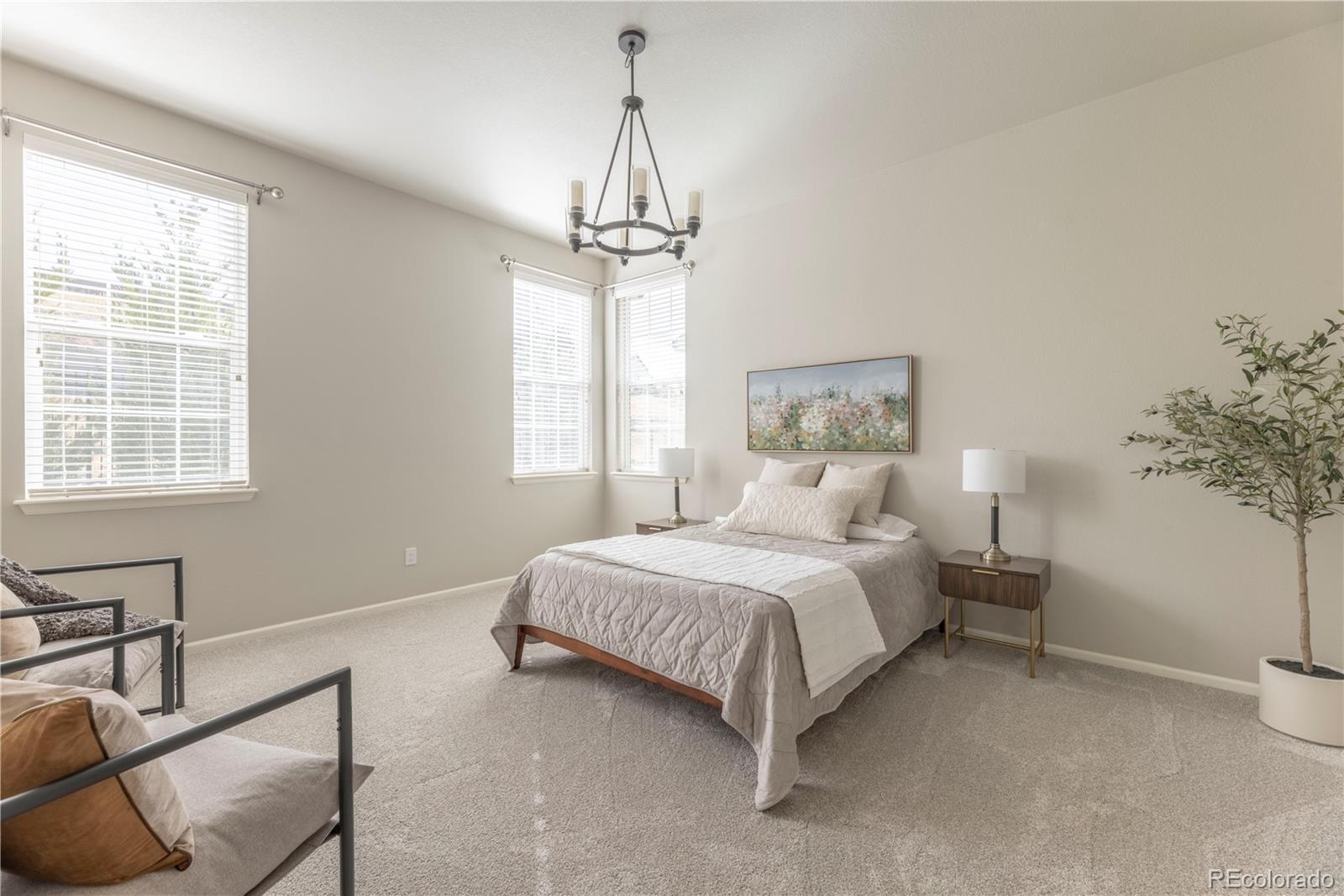 MLS Image #12 for 2490  lassen lane,castle rock, Colorado