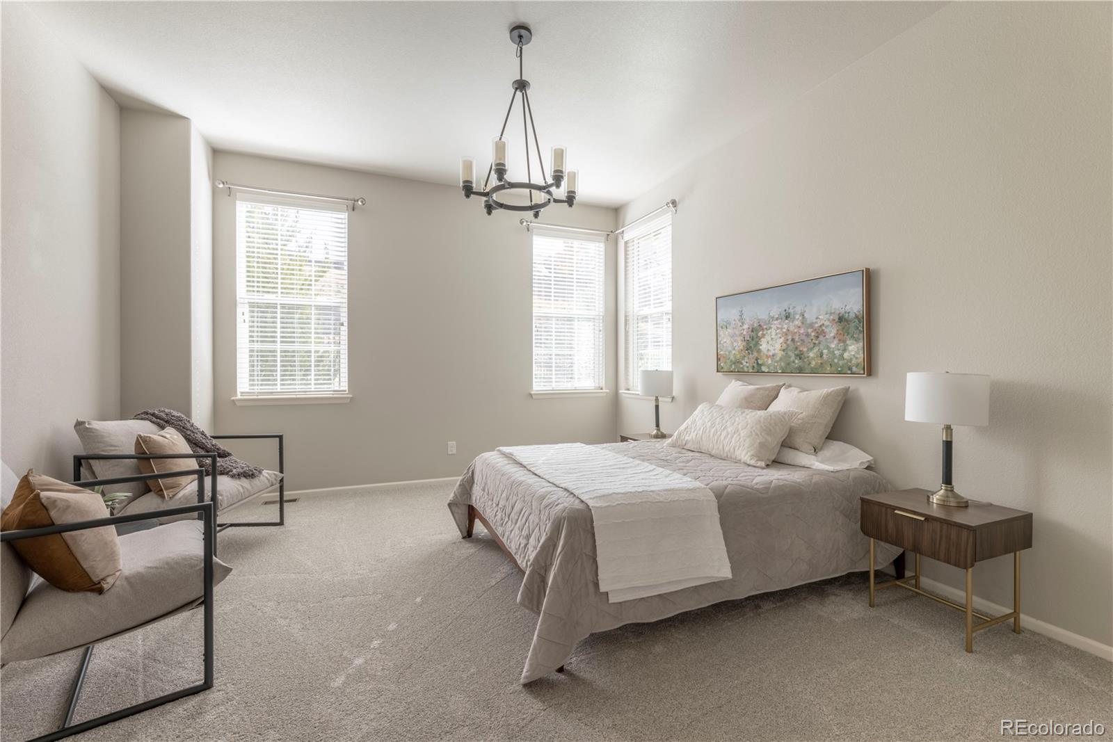 MLS Image #13 for 2490  lassen lane,castle rock, Colorado