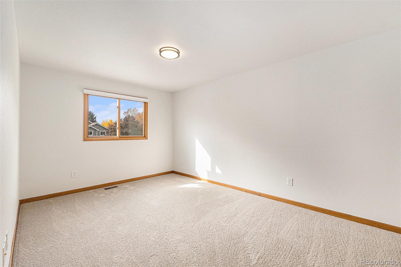 MLS Image #19 for 818  maxwell court,fort collins, Colorado